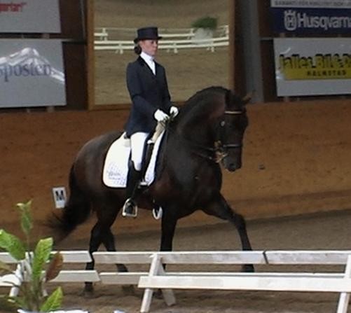 Dressage debute in Sweden 2009 - Vikinga Sales & Breeding