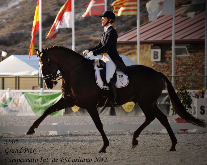 Debute for Viktoria and Start in Grand Prix! - Vikinga Sales & Breeding