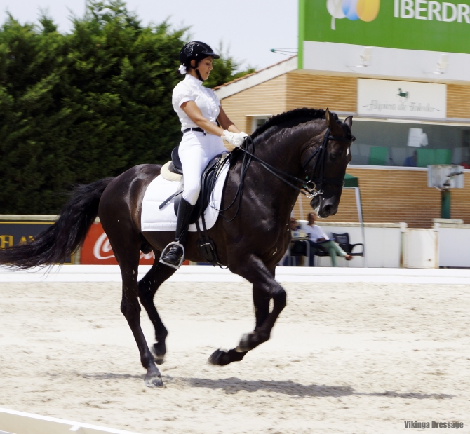 Jessica and Coco's debute in Prix St George 2014 - Vikinga Sales & Breeding