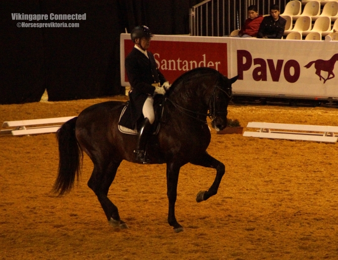 Prestigeous Grand Prix Champion PRE Calificado - Vikinga Sales & Breeding