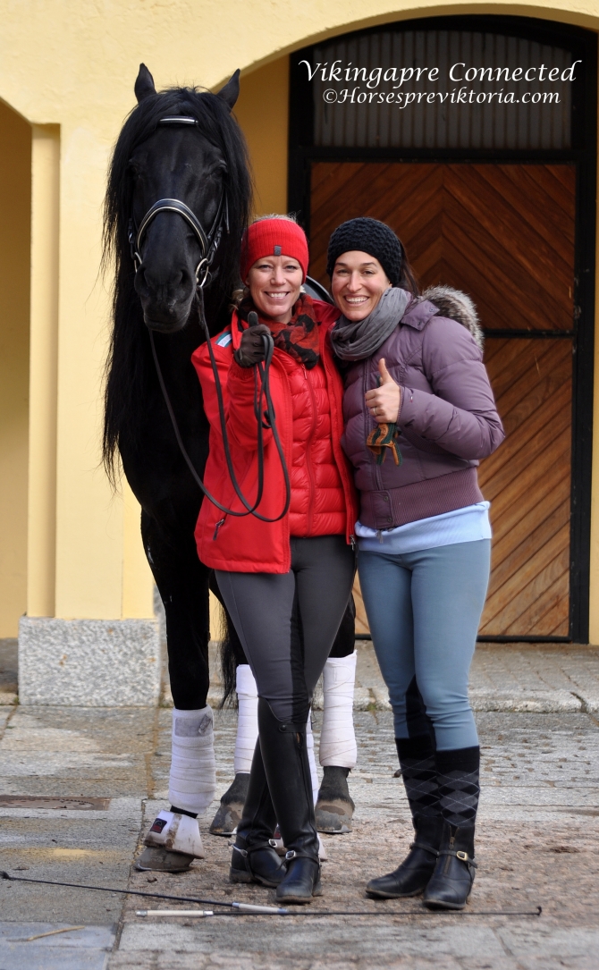 Testimonials and news from clients - Vikinga Sales & Breeding