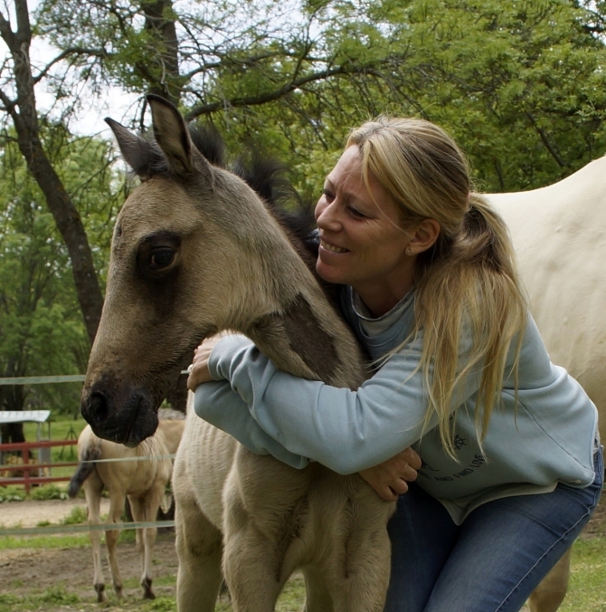 GACELA VIK - Vikinga Sales & Breeding